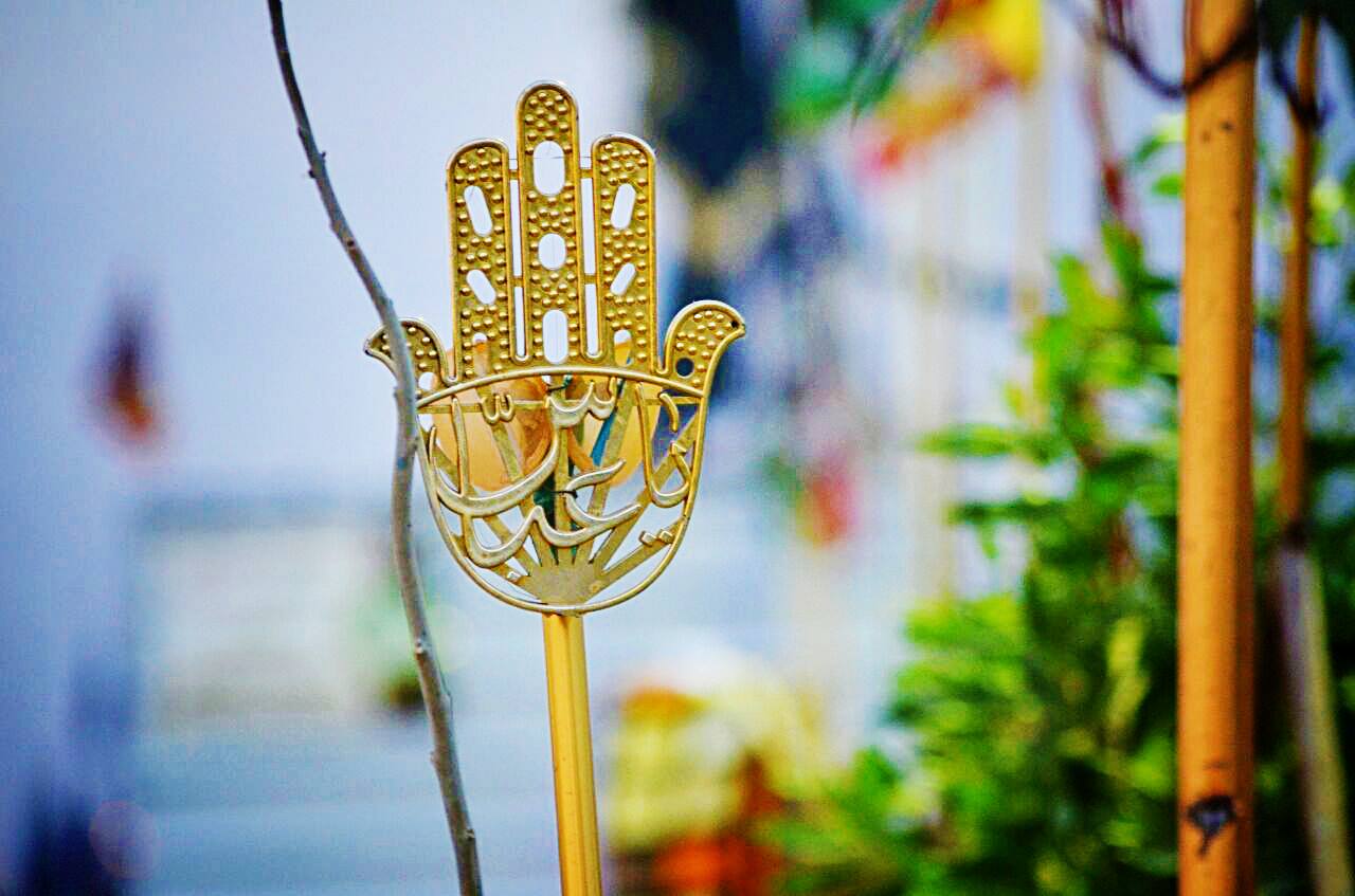 ثورة المشاية