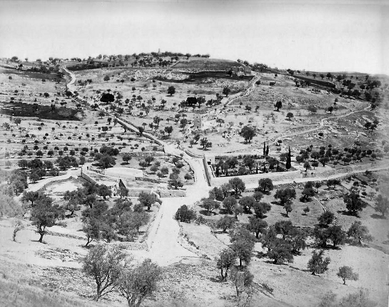 القدس - صورة قديمة 