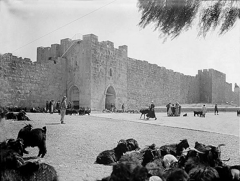القدس - باب الساهرة