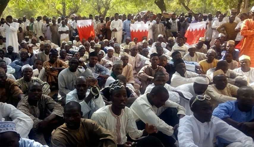 بالصور: تظاهرة حاشدة في ثاني أكبر مدن نيجيريا استنكاراً لاستهداف آية الله قاسم