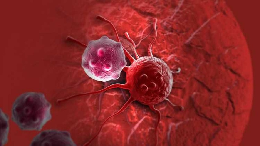 الفيروسات شرسة مع الرجال لطيفة مع النساء