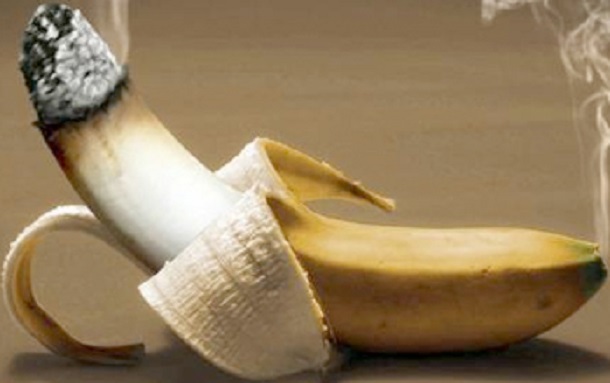 الموز يحدّ من الإدمان على التدخين!