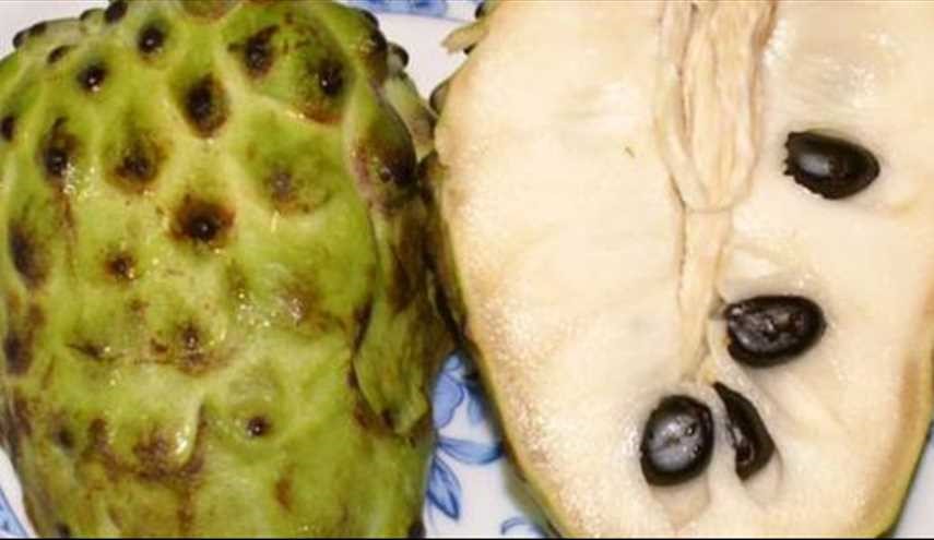 ماهي "فاكهة القشطة"..