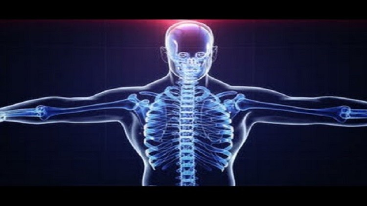 اجزاء من جسم الإنسان يمكن العيش من دونها