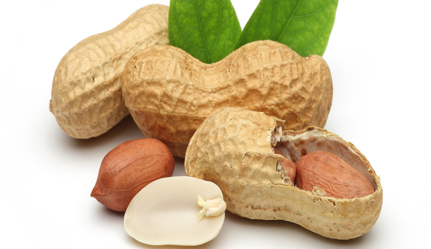 هذه الأمراض لن تداهمك لو تناولت الفول السوداني