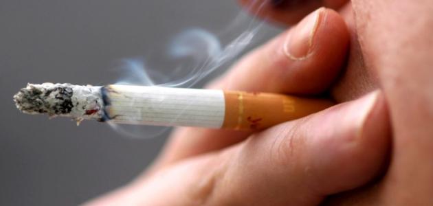  التدخين يستحوذ على 6 % من نفقات الصحة