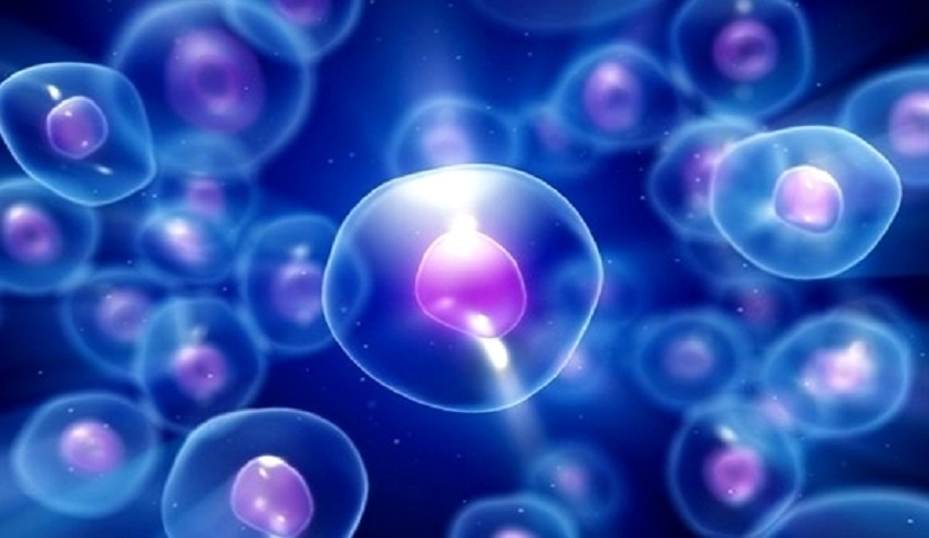 افتتاح أول مركز شامل للخلايا الجذعية في ايران