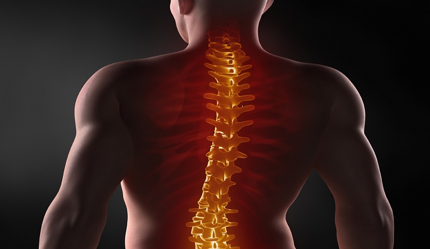 5 خطوات للحفاظ على العمود الفقرى ومنع حدوث انحناء بالظهر