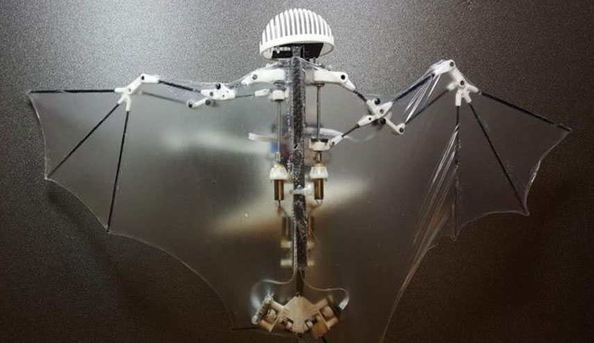 أغرب خفاش "روبوت" طائر في العالم