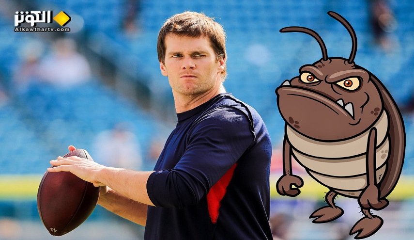 حديقة حيوان تطلق اسم لاعب كرة قدم على (صرصور)!