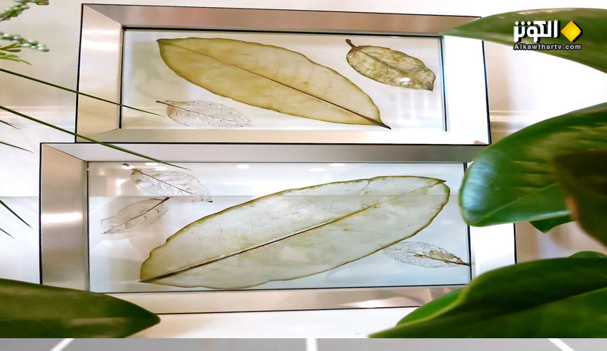 أوراق صحف قابلة للزراعة في اليابان