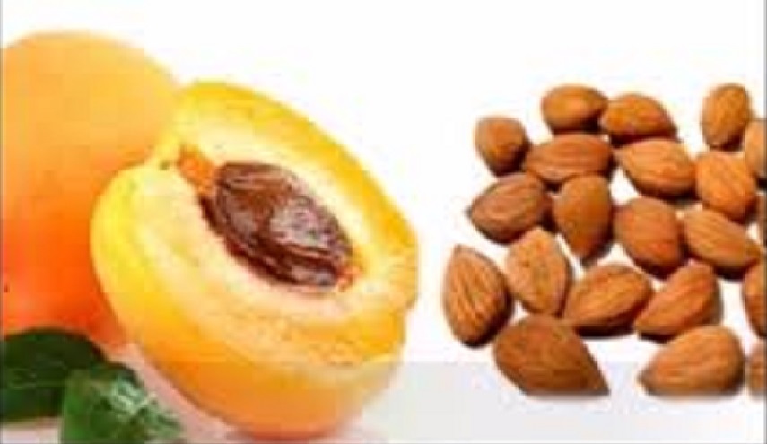 معلومات مدهشة تفاجئكم عن اقوى علاج للسرطان لن تجدوه الا في هذه الفاكهة!                           