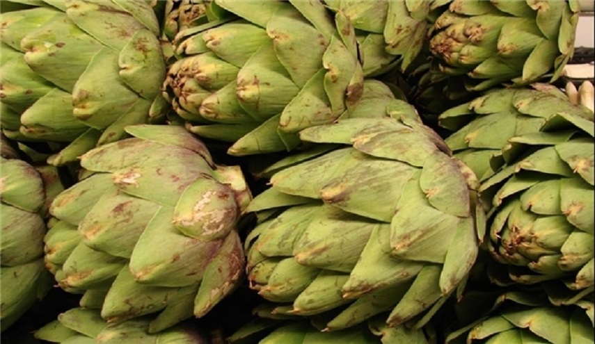 تعرف على "ثلاثي خرافي" لمكافحة الأرق والقلق والخوف !