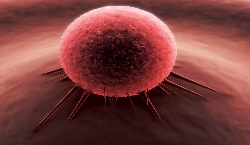 بشرى سارة.. دواء جديد يعالج جميع أنواع السرطان