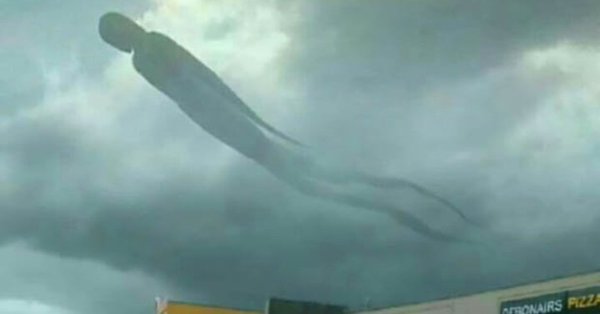 مخلوق عملاق يثير الفزع بزامبيا!