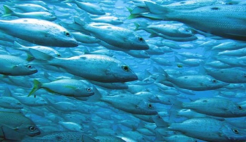 وداعا للعمى ... اكتشاف علاج جديد للعمى!