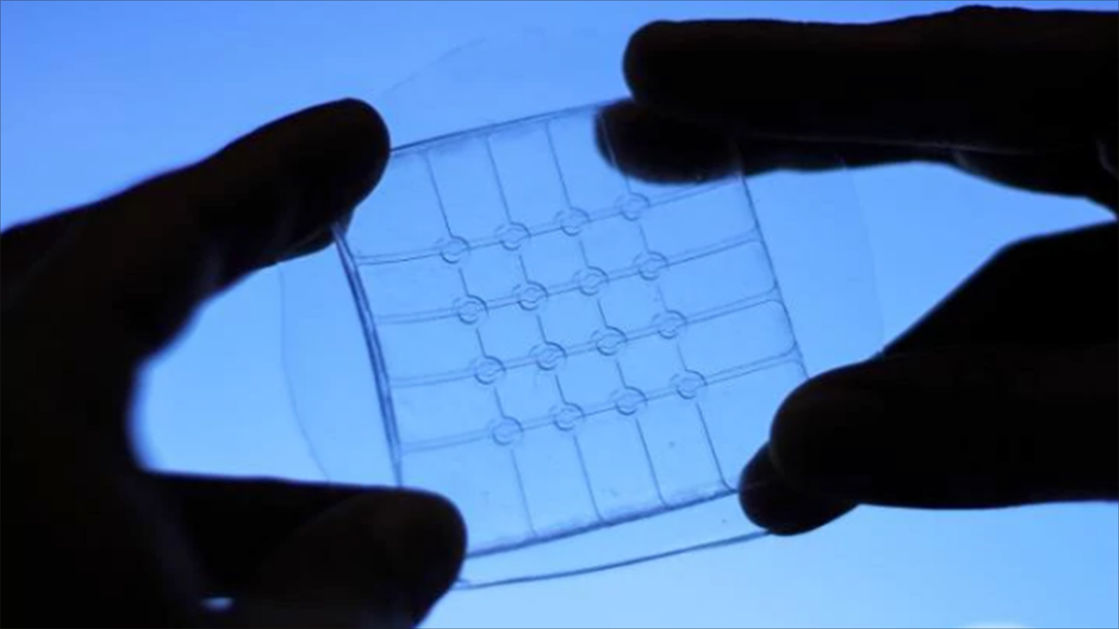 قريبا يمكنك طي الهاتف الذكي ووضعه في جيبك