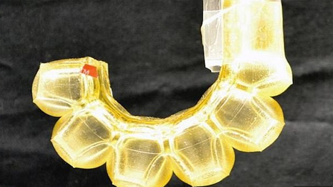 بالصور..ابتكار روبوت "صالح للأكل"