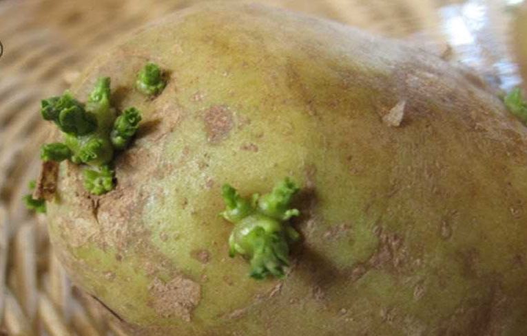 تحذير.. أطعمة نتناولها يوميا وفي هذه الحالات تصبح قاتلة!!