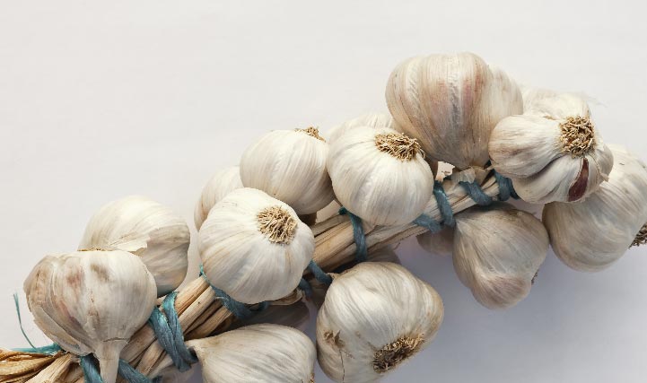 سیر دارو و گیاه باستانی ضد سرطان را بیشتر بشناسیم