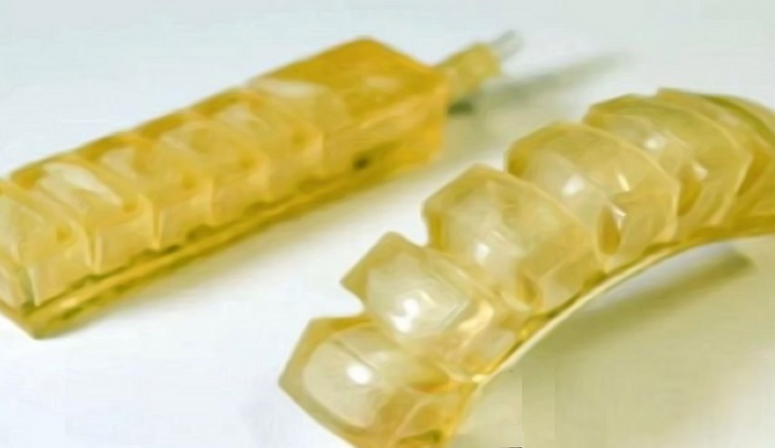 في سابقة استثنائية  ... ابتكار "روبوت" صالح للأكل