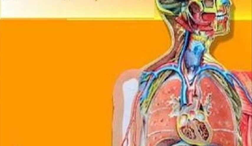 بالصور ..معلومات خاطئة نعرفها عن جسمنا.. الحقيقة ستدهشك!