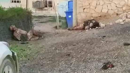 القوات العراقية تقتل ستة انتحاريين قرب تكريت