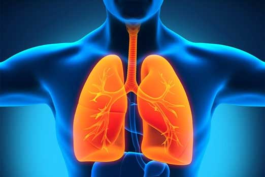  وظيفة جديدة للرئتين غير التنفس..ما هي؟