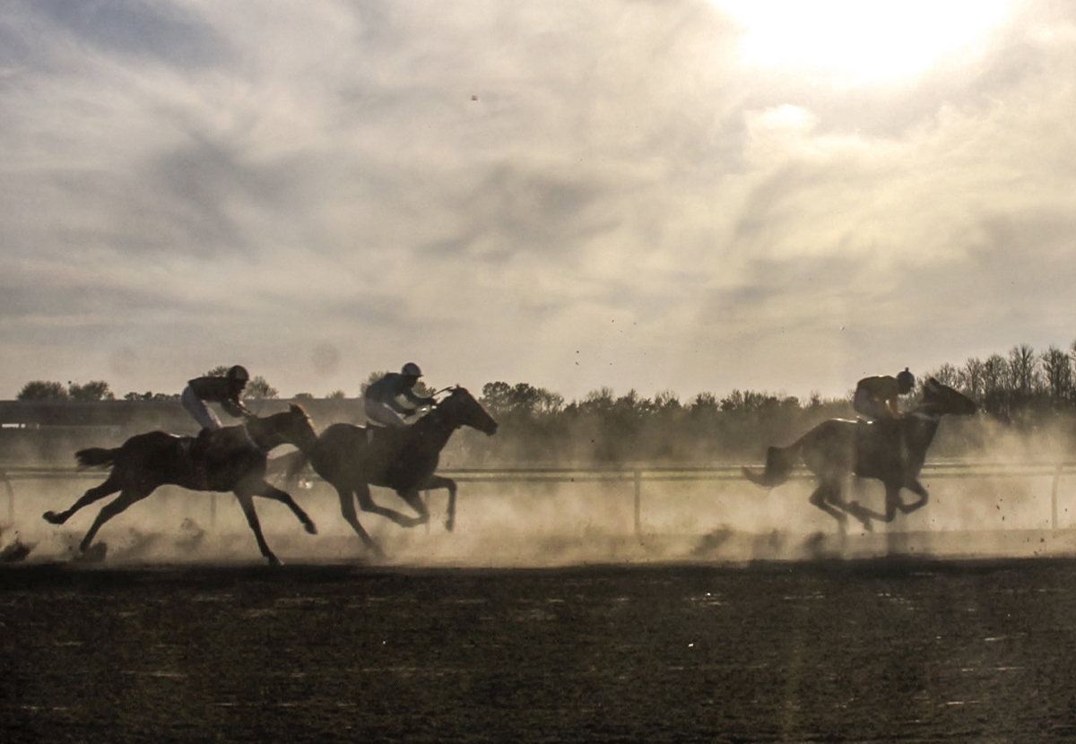 بالصور..سباق  الخيول بمدينة "كنبد كاووس" الايرانية 