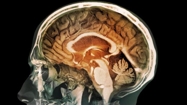 كشف جديد يقلب الموازين عن كيفية تكون الذاكرة