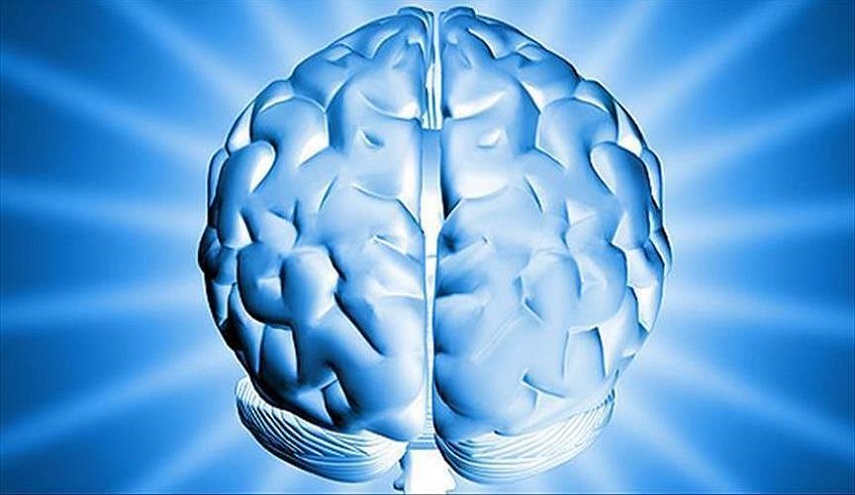 الدماغ يحتفظ بنسختين من الذاكرة في آن واحد