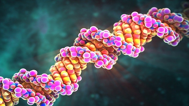رجال البلقان يحملون جينات إنسان العصر الحجري