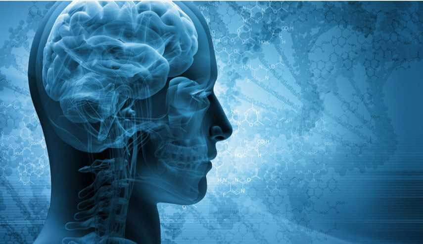 علماء يثبتون نظرية الخلود