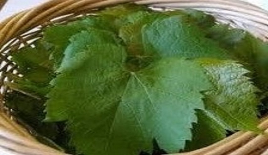 لهذه الأسباب تناولوا ورق العنب!