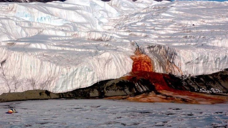 ما سر "شلالات الدم" في القطب الجنوبي..؟!