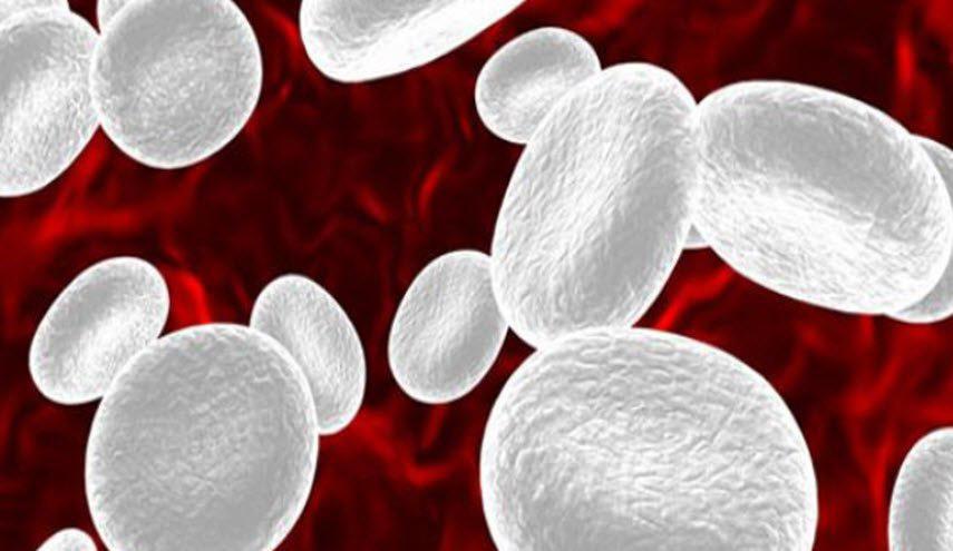 لزيادة كرات الدم البيضاء... اليكم هذا المشروب الطبيعي