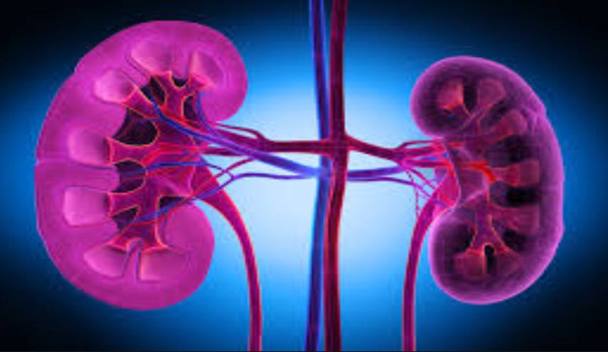 وصفة طبيعية تقضي على التهابات الكلى