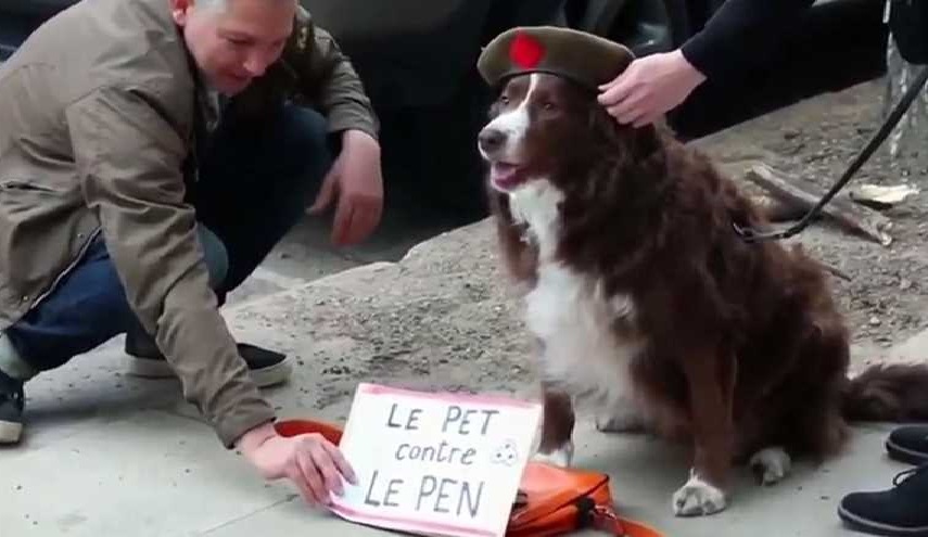 الكلاب شاركت ضد مارين لوبان في الانتخاباب الفرنسية!