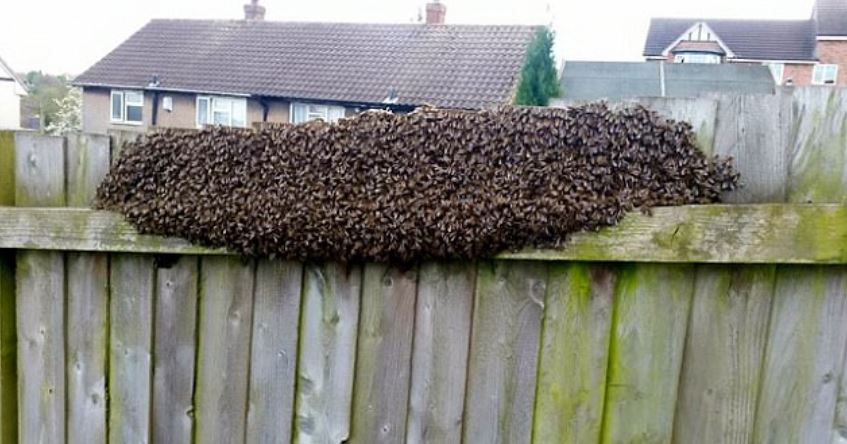  "صدمة كبرى"... شاهد على ماذا عثرت عندما عادت إلى المنزل؟! 