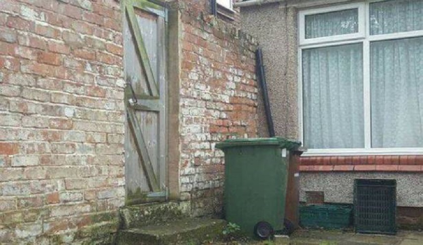 خدعة بصرية: نتحداك أن تجد الحيوان المختبئ في هذه الصورة!