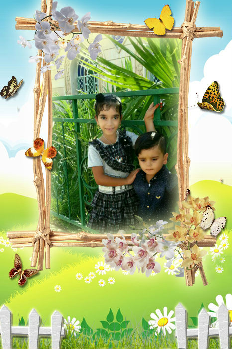 نباء من العراق 