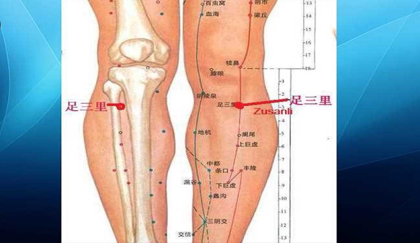 "نقطة طول العمر" .. دلكوا هذه المنطقة وهذا ما يحدث لأجسامكم!!