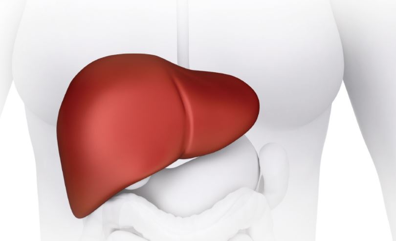 لمرضى الكبد...7 نصائح يجب اتباعها في رمضان