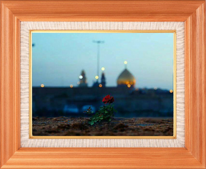 مصطفى قاسم من العراق