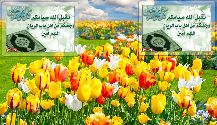 علي صادق من العراق 