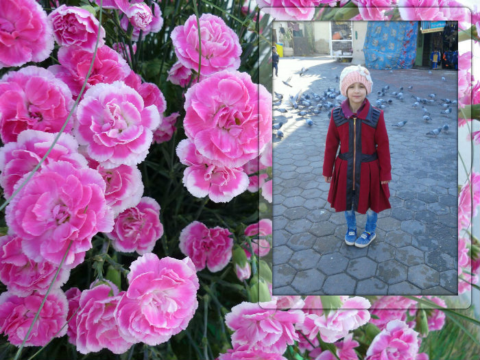 كوثر - 7 سنوات من العراق 