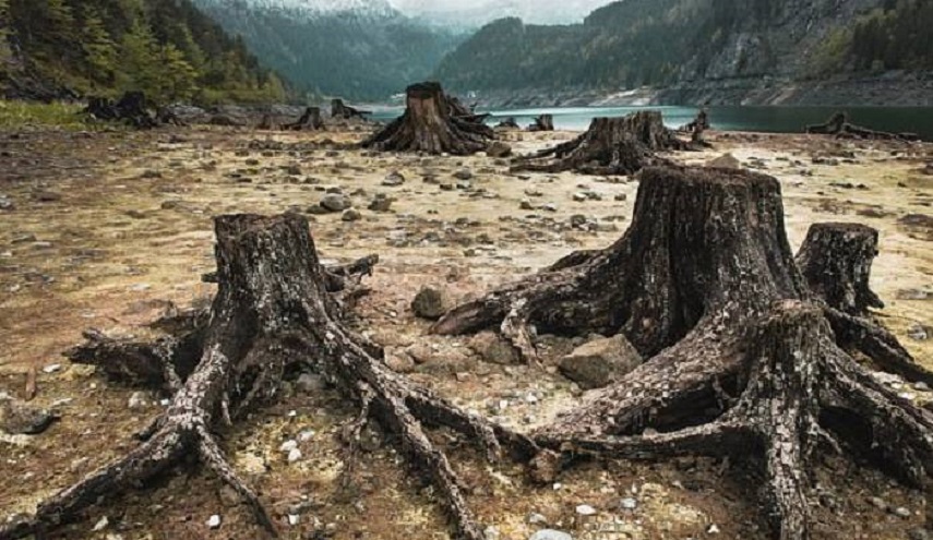 علماء: الارض قد تشهد انقراضا جماعيا بعد 100 عام