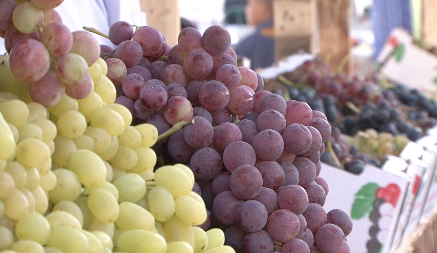 ما لم تعرفه عن فوائد بذور العنب .. تقضي على أخطر الأمراض!!