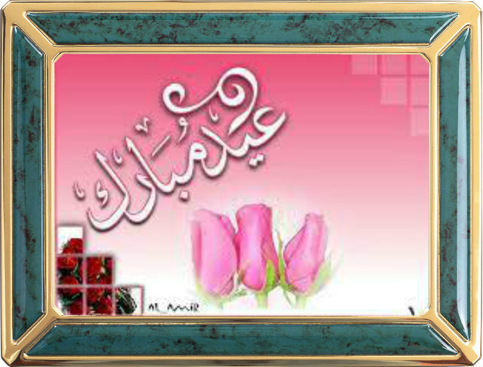  محمد جميل عبدالحسين من العراق - 14 سنة 