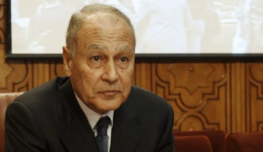 أبو الغيط: الربيع العربي هو أقسى شتاء مر على أمتنا منذ ألف عام!